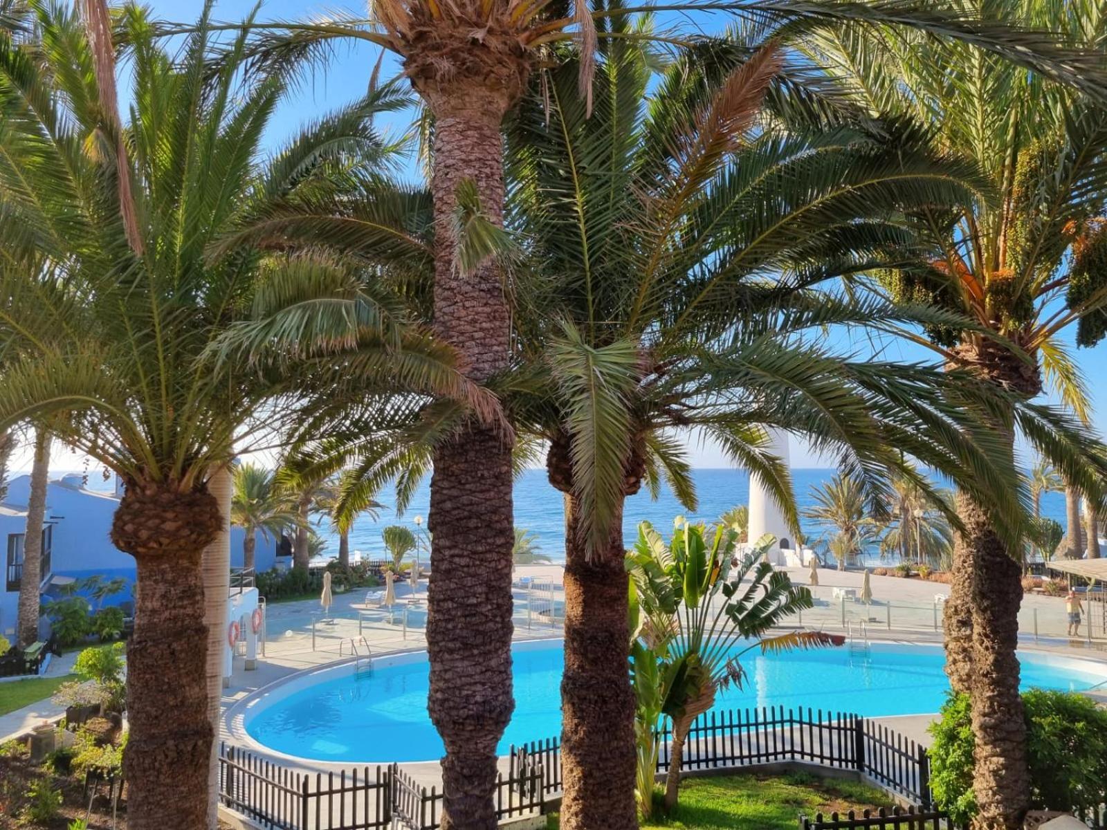 Top 2 Sun Club Bungalow Terraza Maspalomas  Exteriér fotografie