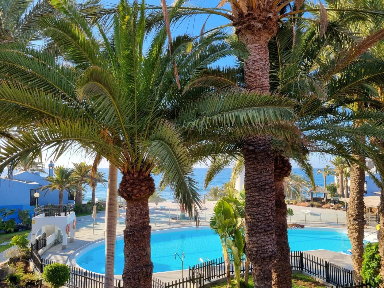Top 2 Sun Club Bungalow Terraza Maspalomas  Exteriér fotografie